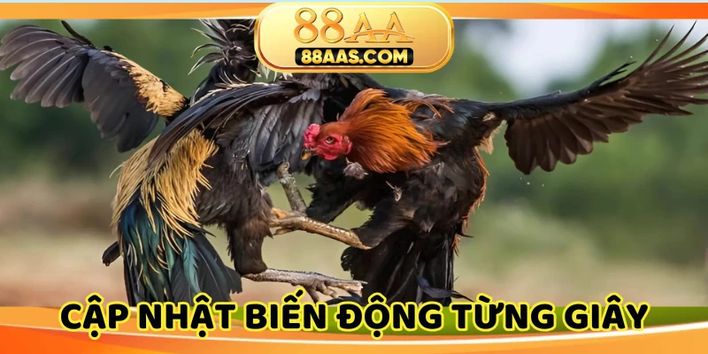 Cập nhật liên tục tại trang chủ để theo dõi