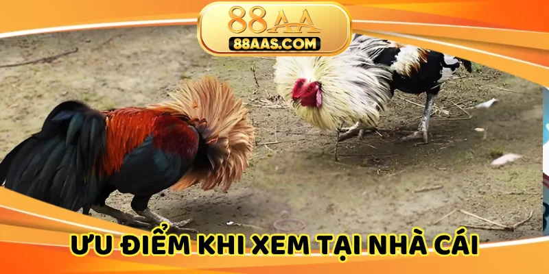 Hình ảnh rõ nét từng chi tiết, đa góc cạnh