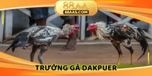 truong-ga-dakpuer
