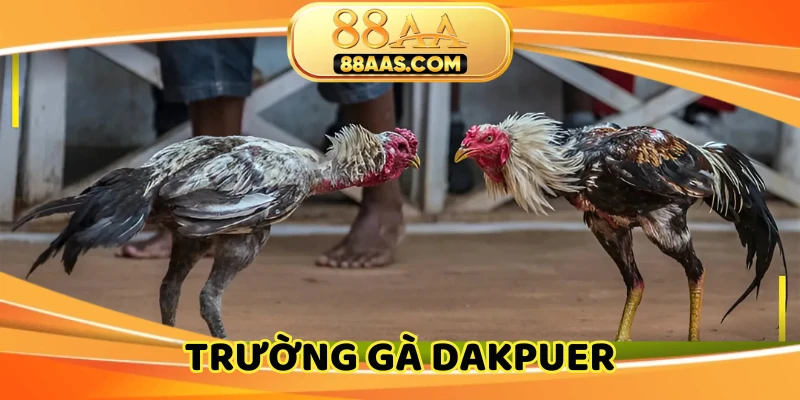 truong-ga-dakpuer
